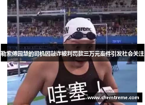 勒索傅园慧的司机因敲诈被判罚款三万元案件引发社会关注