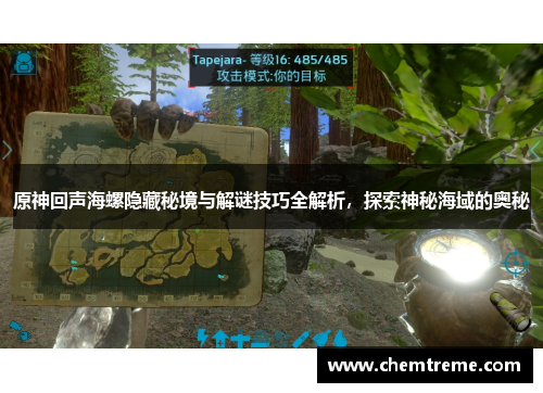 原神回声海螺隐藏秘境与解谜技巧全解析，探索神秘海域的奥秘